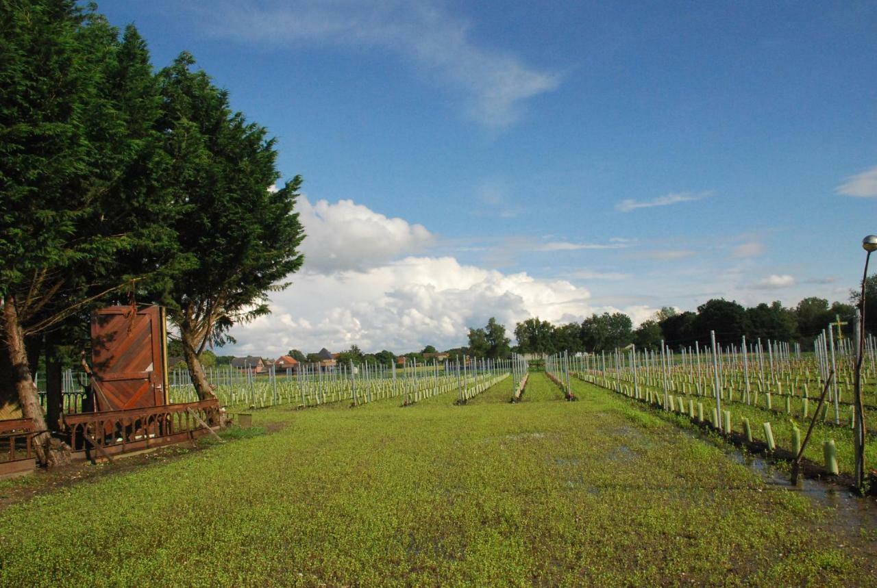 Sogni D Oro Bed & Breakfast Peer Bagian luar foto